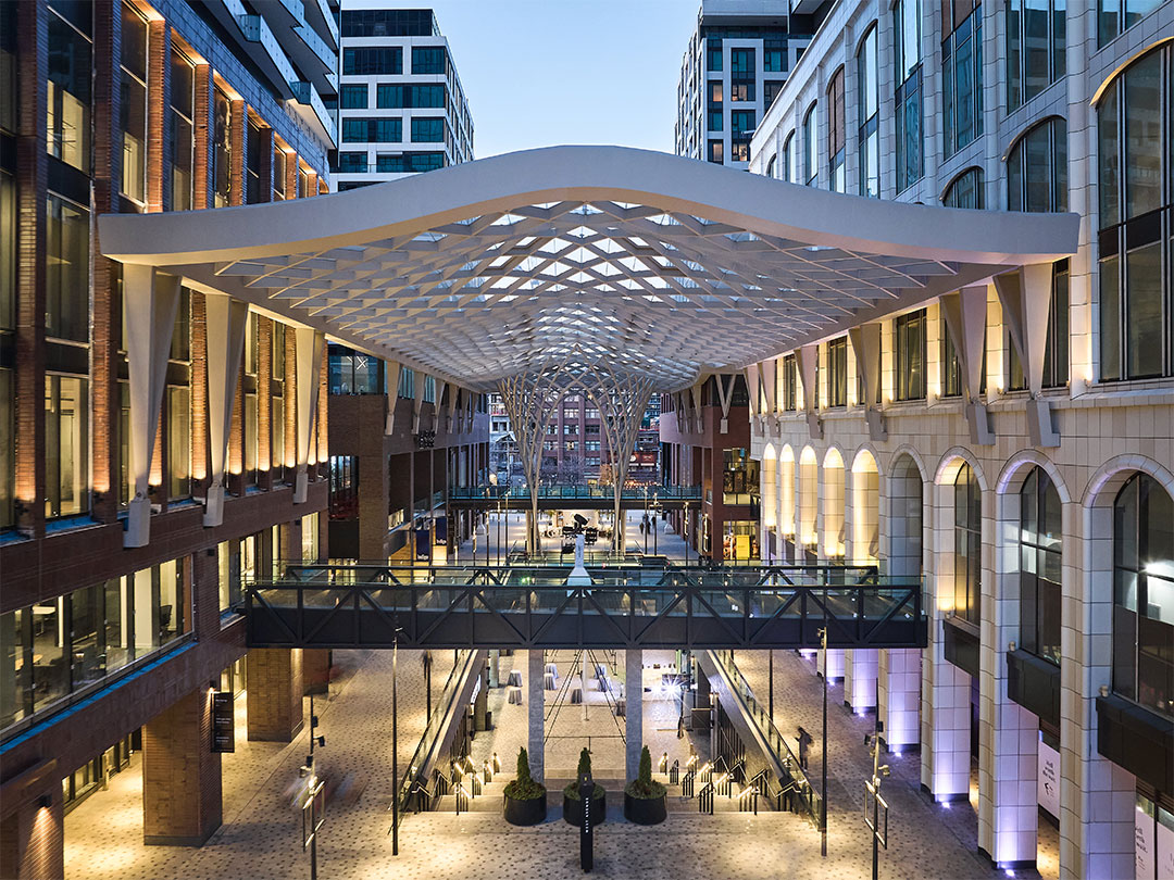 Innovation & Sustainability